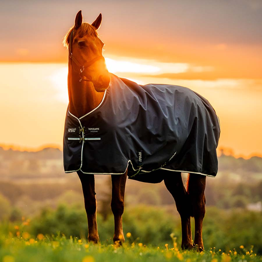 Regndekken Amigo Ripstop 900D Fleece Lined 50g Witney Navy