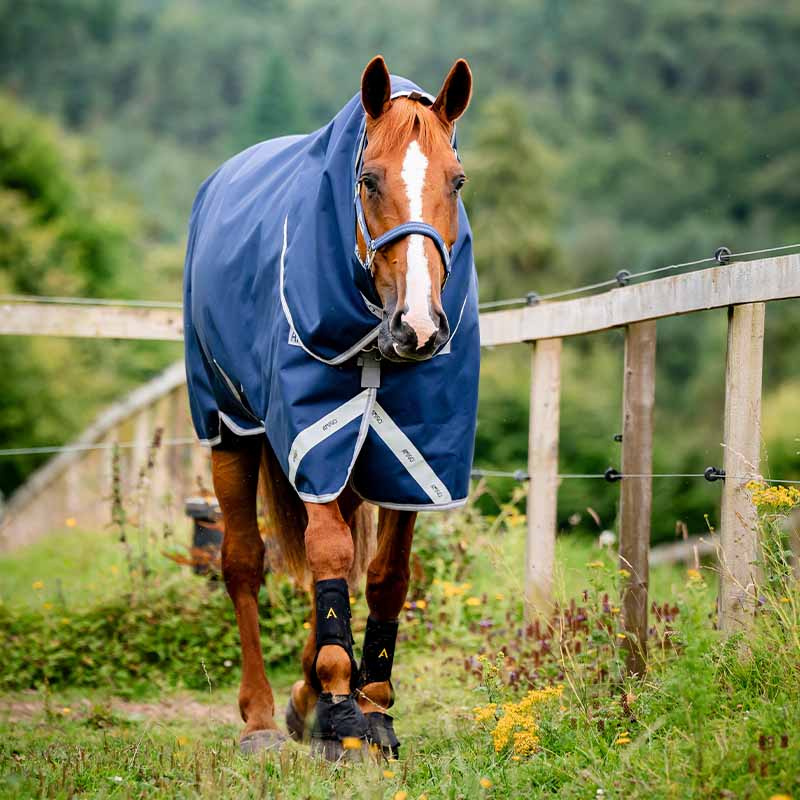 Vinterdekken med Hals Amigo Bravo 12 Plus Bundle (50g+100g+200g) V-Front Marineblå/Grå