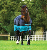 Mio Turnout Lite 0g Svart/Turkis Mio Turnout Lite 0g Svart/Turkis