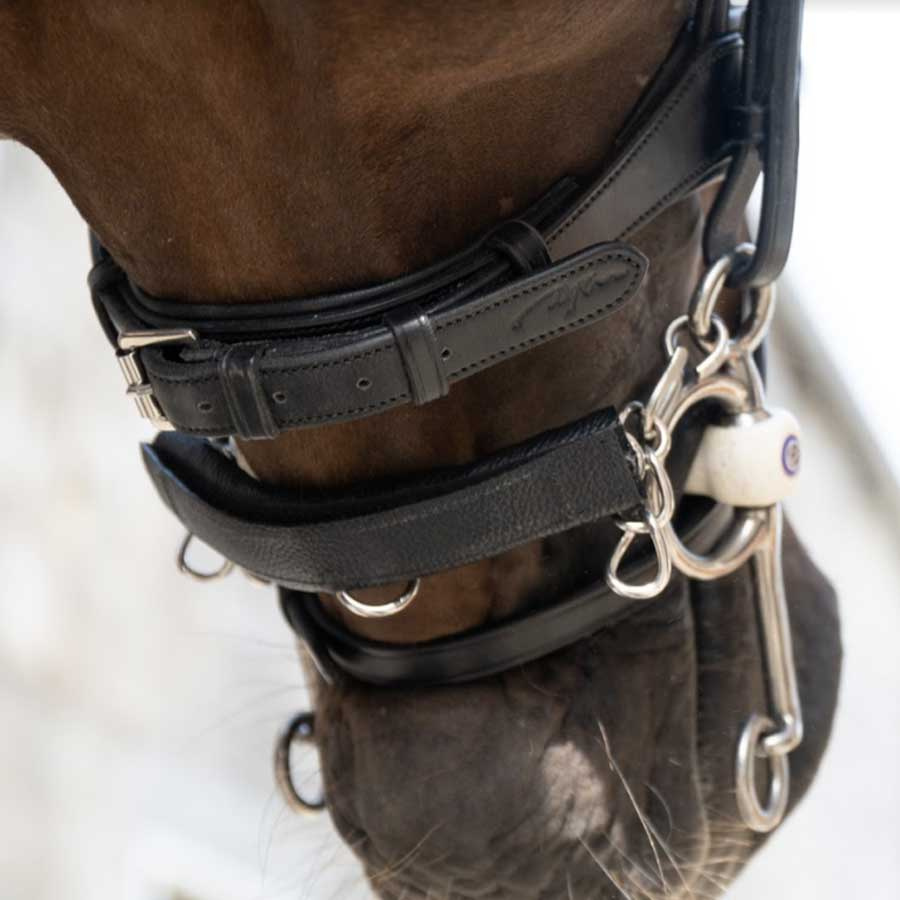 Kinnkjedebeskytter Svart