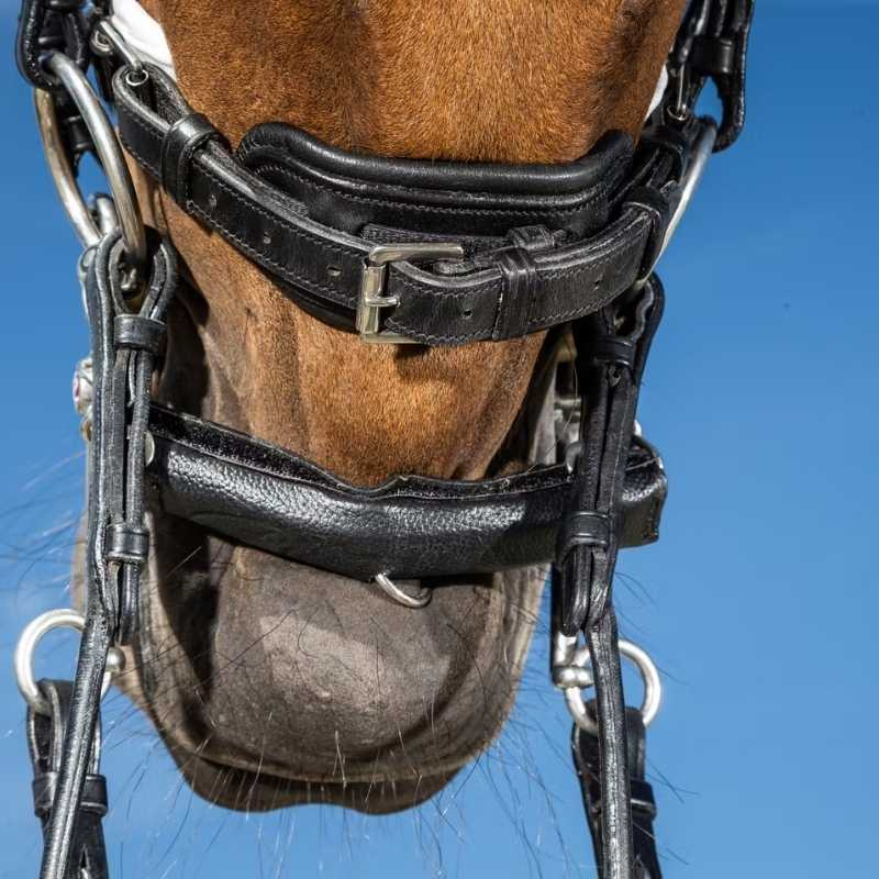 Kinnkjedebeskytter med Neopren Svart