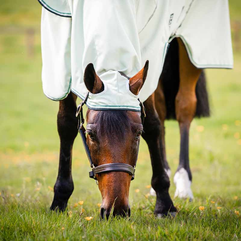 Flue- & eksemdekken Rambo Hoody inkl. fluemaske Lysegrønn