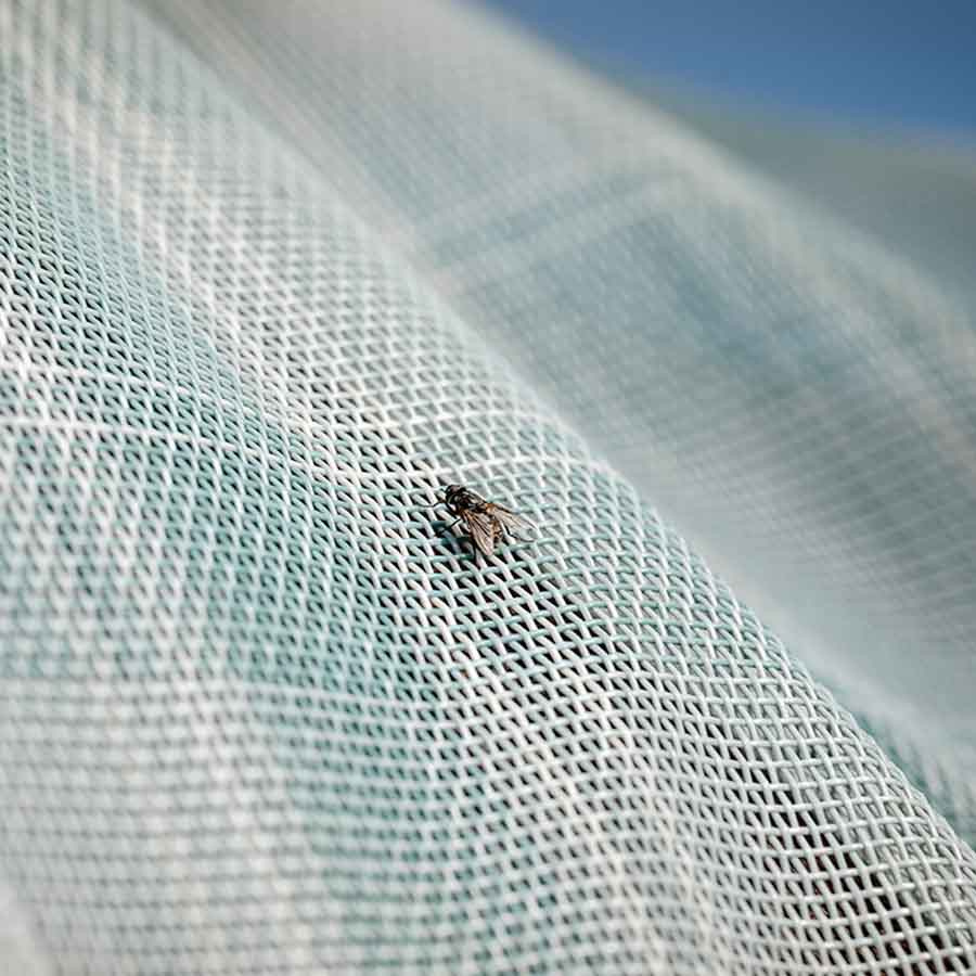 Fluedekken Newmarket Witney Dynasty