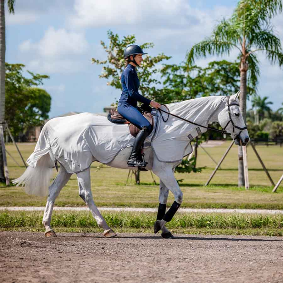 Flueridedekken Amigo Flyrider Sølv/Grå
