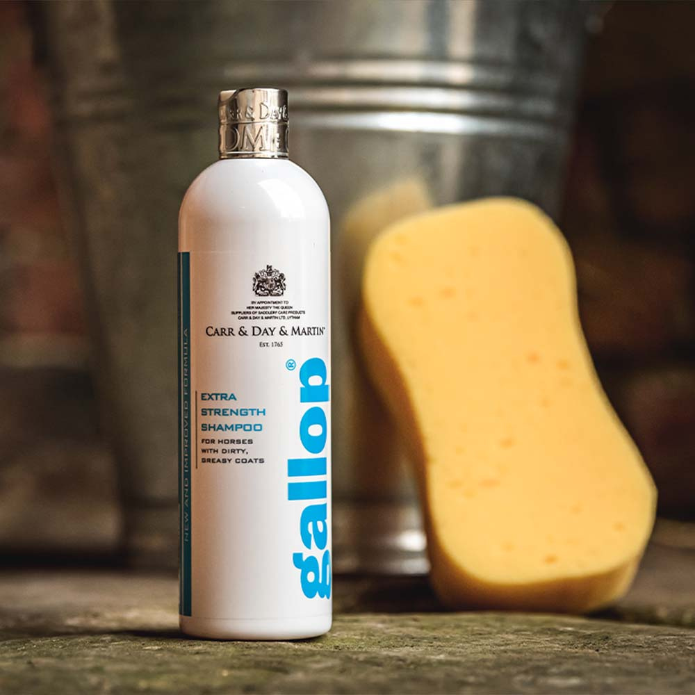 Dyprengjørende Sjampo Gallop Extra Strength 500ml