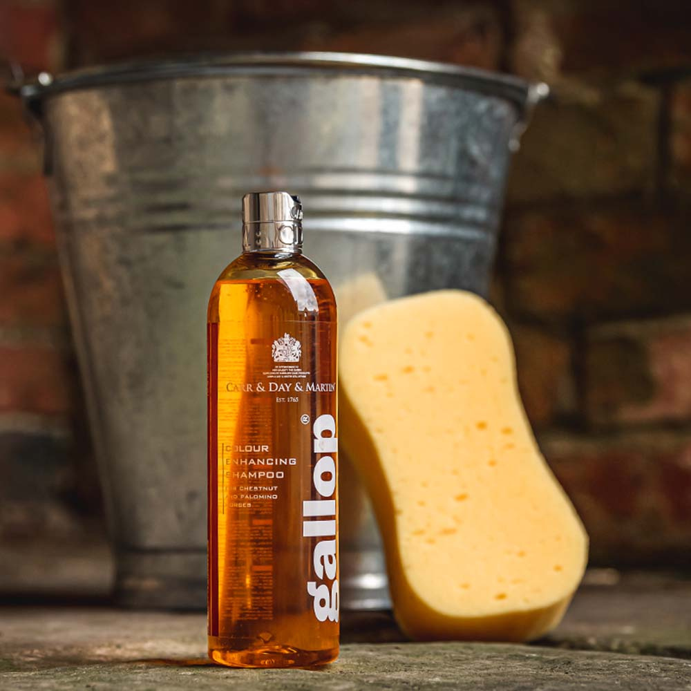 Sjampo Gallop Colour Fux & Palomino 500ml