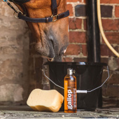 Sjampo Gallop Colour Fux & Palomino 500ml Sjampo Gallop Colour Fux & Palomino 500ml