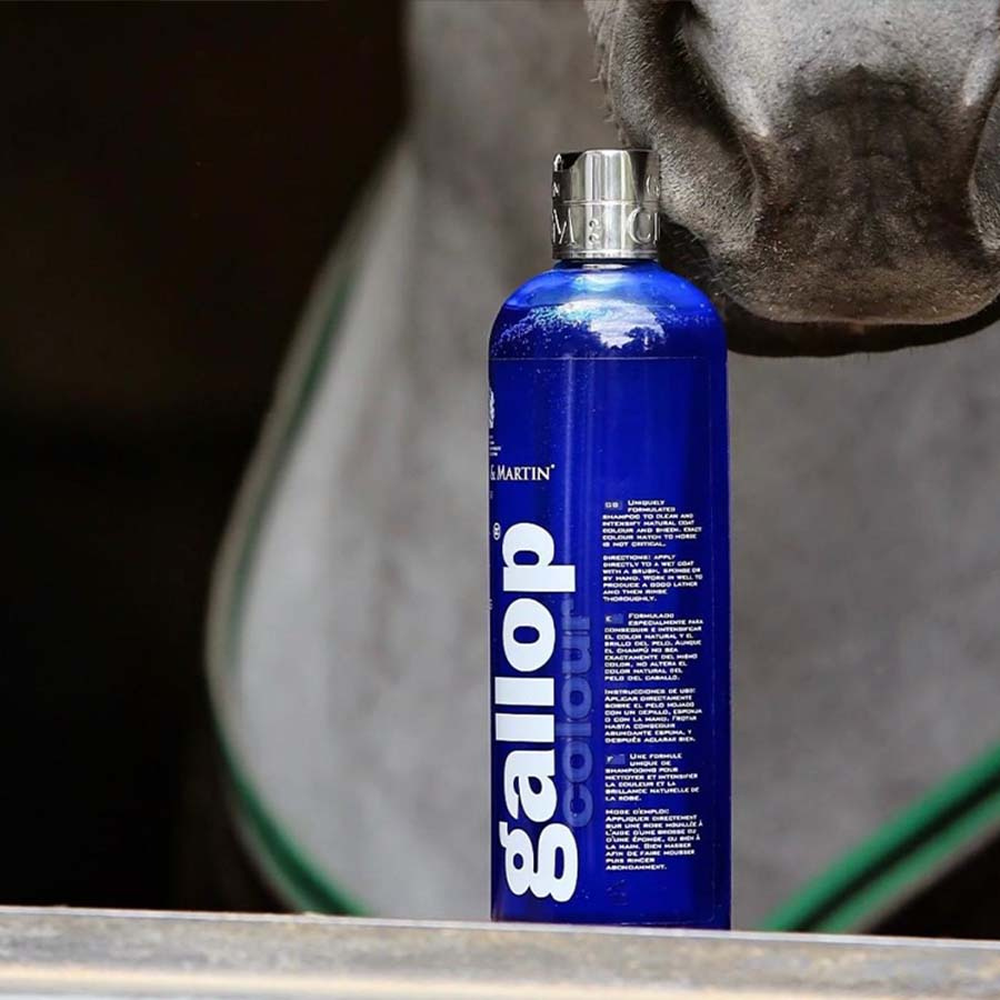 Sjampo Gallop Colour Skimmel 500ml
