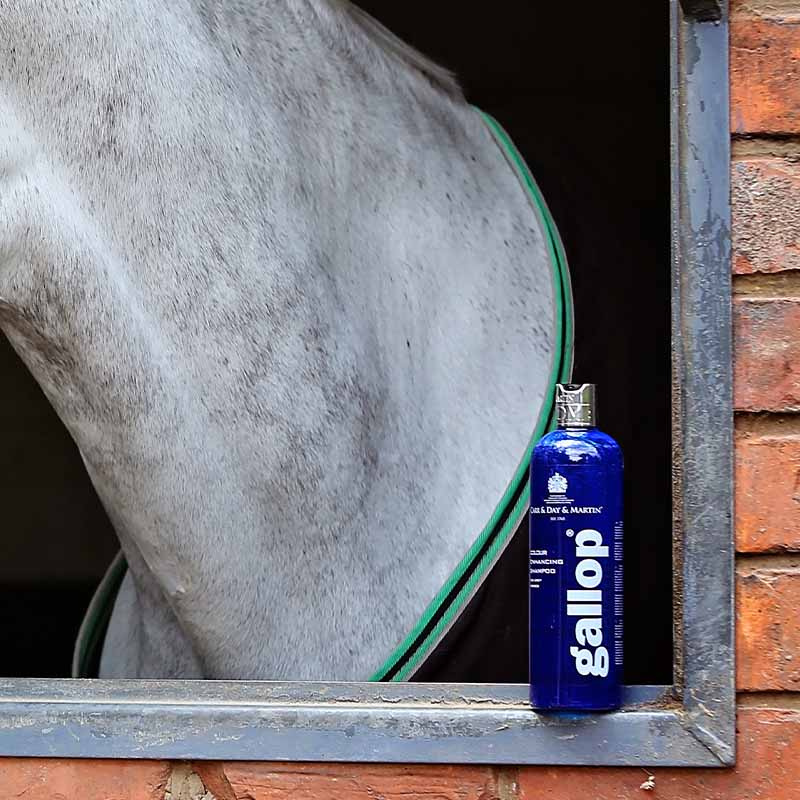 Sjampo Gallop Colour Skimmel 500ml