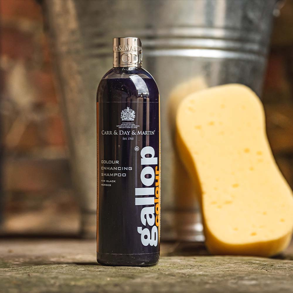 Sjampo Gallop Colour Svart 500ml