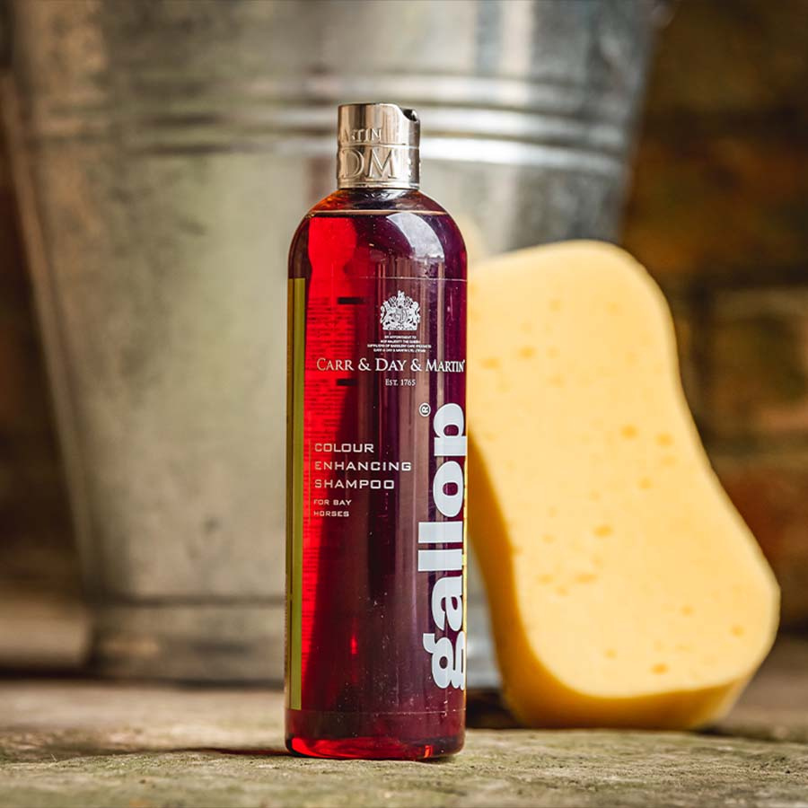 Sjampo Gallop Colour Brun 500ml