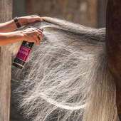 Balsamspray Canter Mane & Tail Balsamspray Canter Mane & Tail