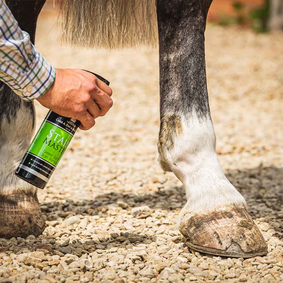 Tørrsjampo Stain Master 500ml