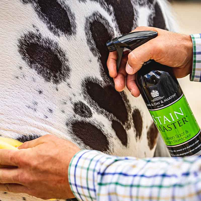 Tørrsjampo Stain Master 500ml