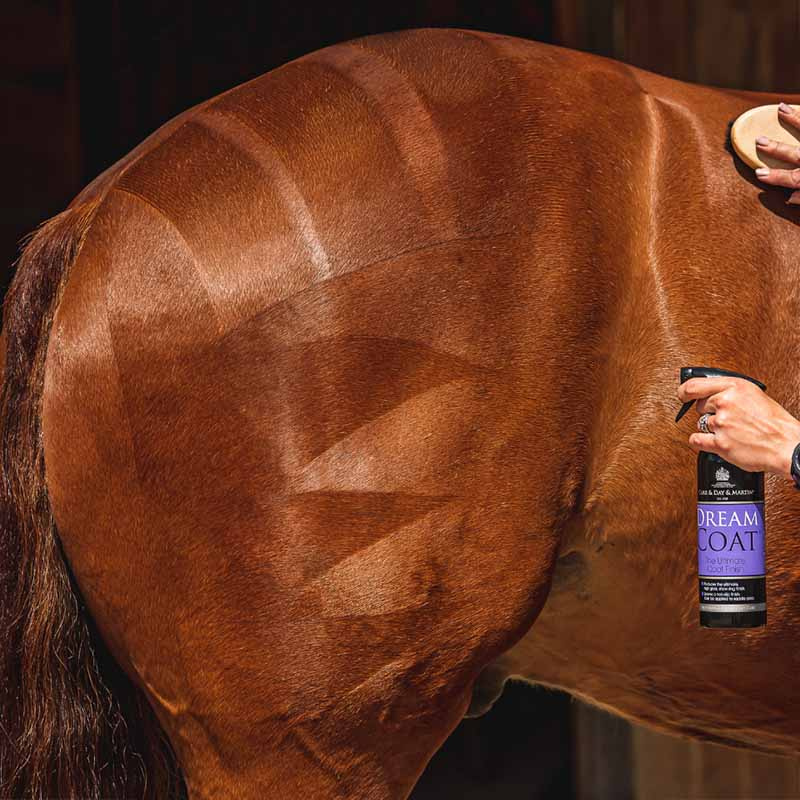 Pelspleie The Ultimate Grooming Duo