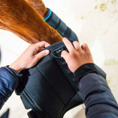 Kjølebeskyttere Ice-Vibe LED Svart/Blå Kjølebeskyttere Ice-Vibe LED Svart/Blå