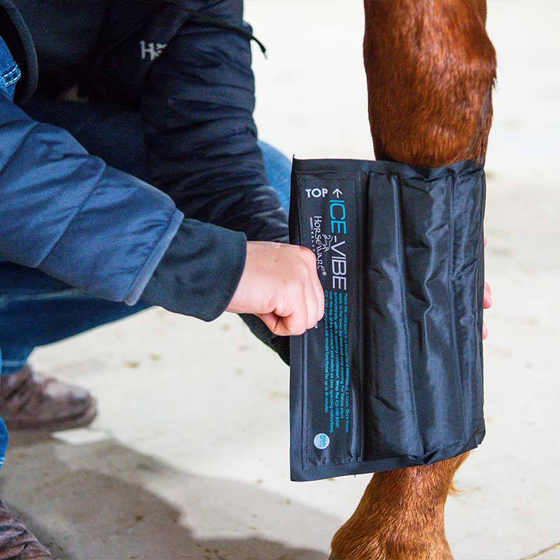 Kjølebeskyttere Ice-Vibe LED Svart/Blå