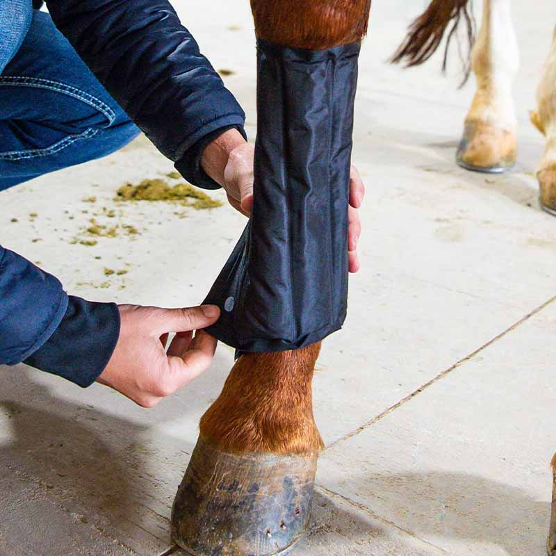 Kjølebeskyttere Ice-Vibe LED Svart/Blå