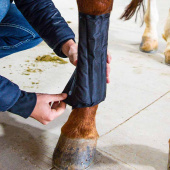 Kjølebeskyttere Ice-Vibe LED Svart/Blå Kjølebeskyttere Ice-Vibe LED Svart/Blå