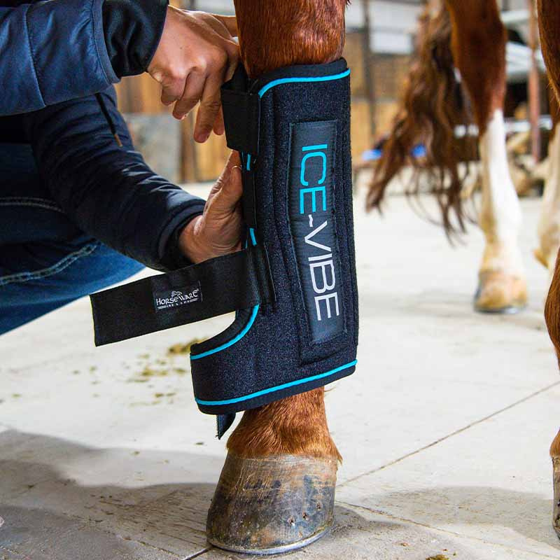 Kjølebeskyttere Ice-Vibe LED Svart/Blå