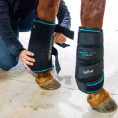 Kjølebeskyttere Ice-Vibe LED Svart/Blå Kjølebeskyttere Ice-Vibe LED Svart/Blå