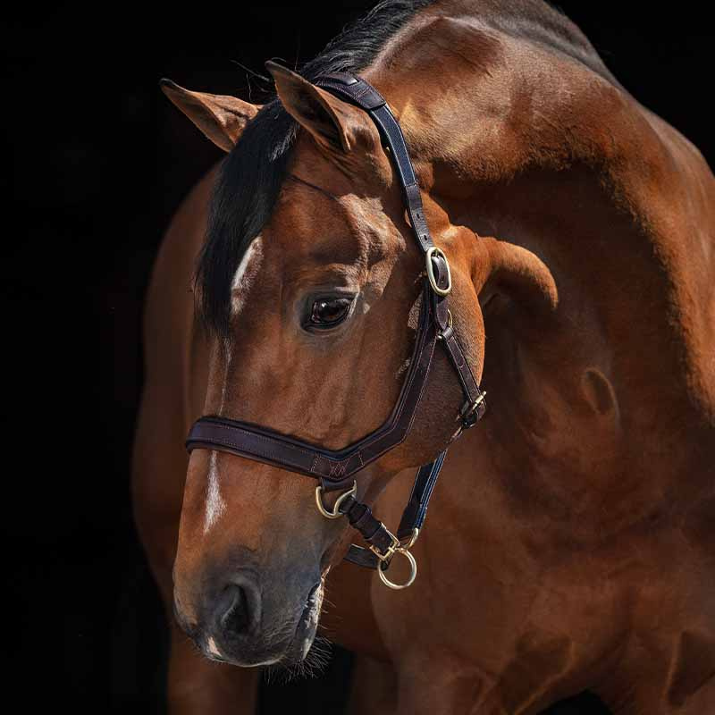 Lærgrime Rambo Micklem Brun