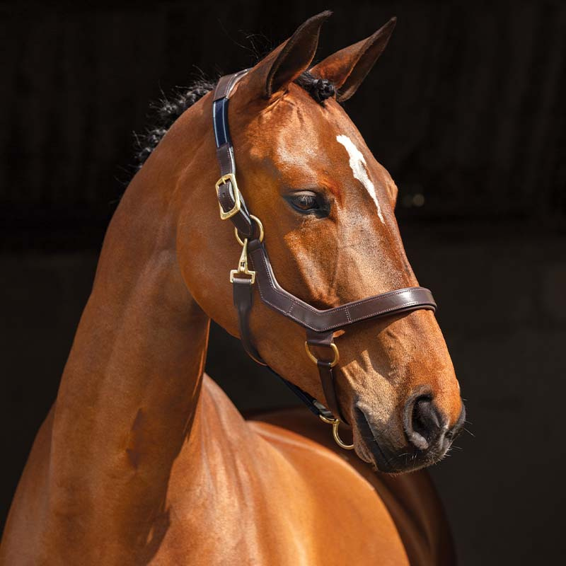 Lærgrime Rambo Micklem Brun