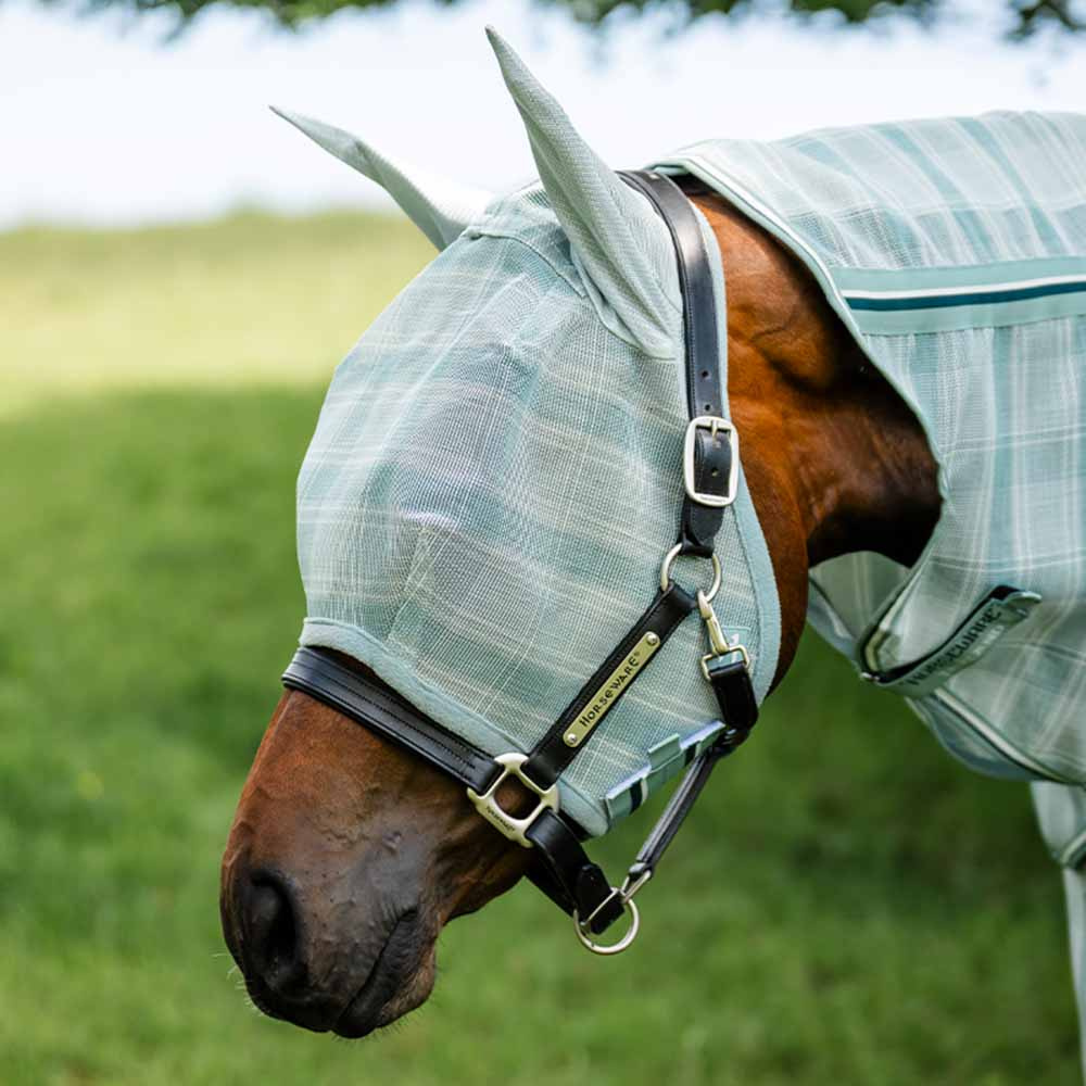Fluemaske Newmarket Witney Dynasty