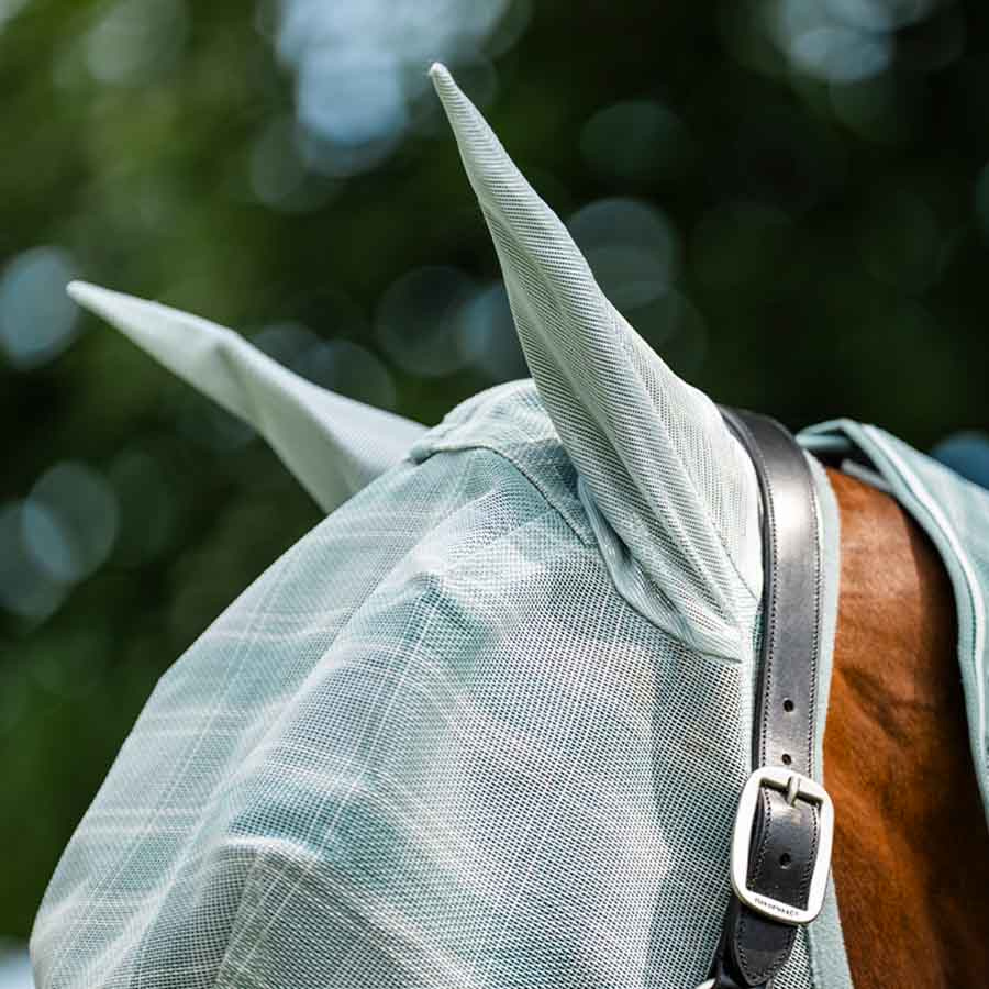 Fluemaske Newmarket Witney Dynasty