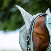 Fluemaske Newmarket Witney Dynasty Fluemaske Newmarket Witney Dynasty
