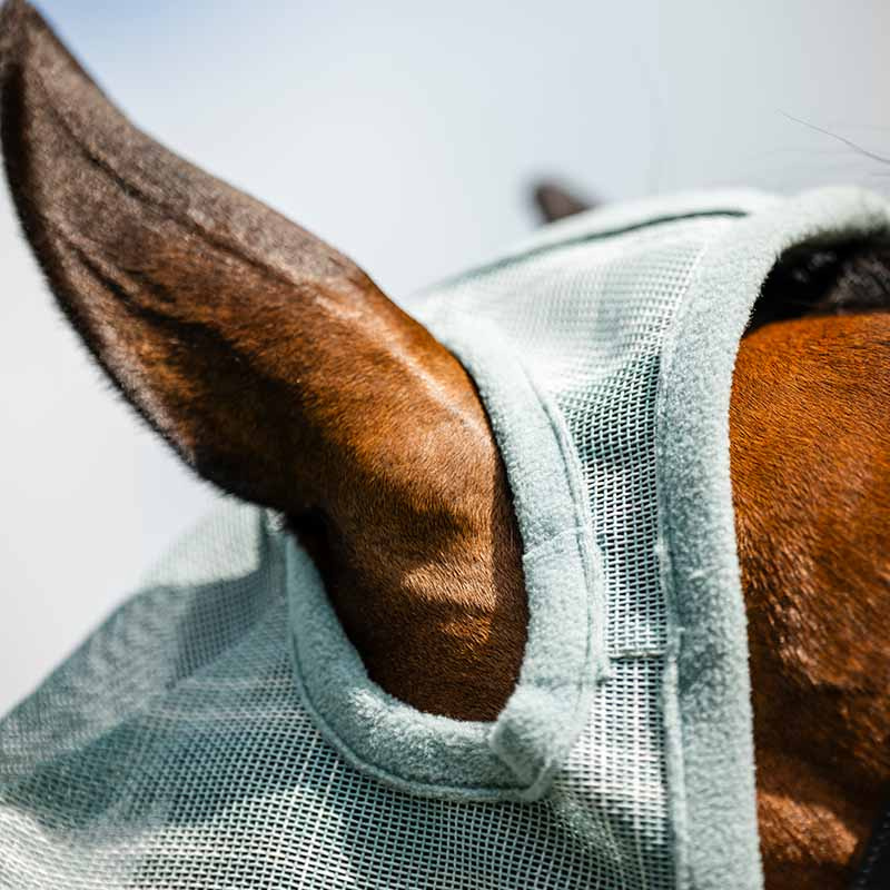 Fluemaske Newmarket No Ears Witney Dynasty