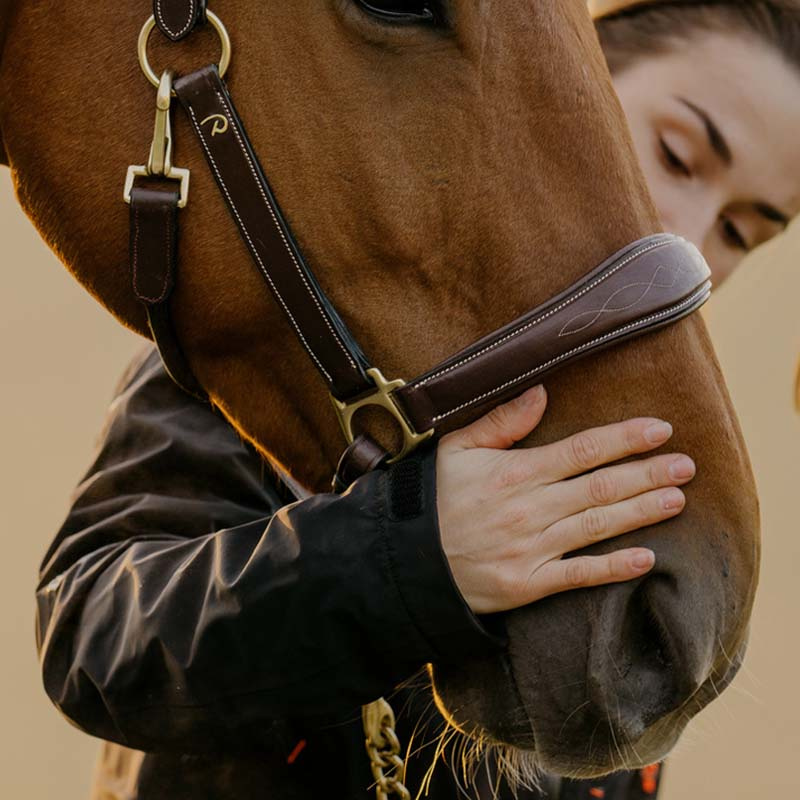 Groominggrime Artificial Leather Anatomic DC Brun