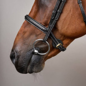Hodelag uten Nedre Nesereim Plaited Dyon Collection Svart Hodelag uten Nedre Nesereim Plaited Dyon Collection Svart