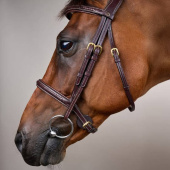 Hodelag uten Nedre Nesereim Plaited Dyon Collection Brun Hodelag uten Nedre Nesereim Plaited Dyon Collection Brun