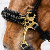Hackamore Dyon Collection Svart Hackamore Dyon Collection Svart