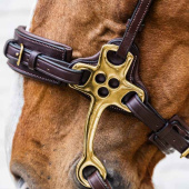 Hackamore Dyon Collection Brun Hackamore Dyon Collection Brun