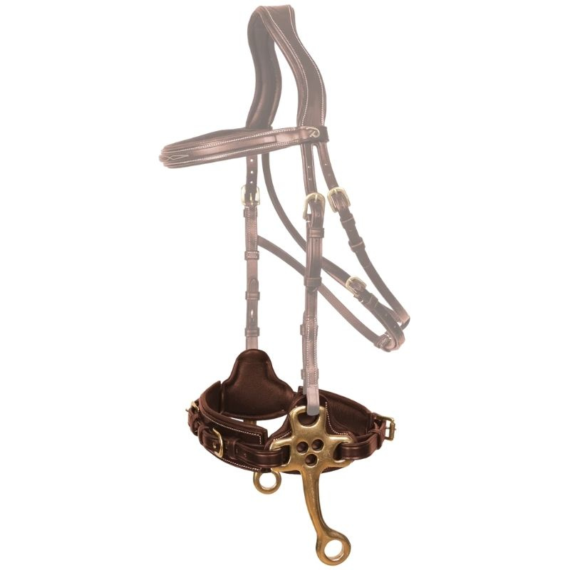 Hackamore Dyon Collection Brun