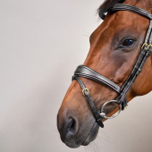 Anatomiskt Hodelag Kombinert Nesereim Dyon Collection Svart Anatomiskt Hodelag Kombinert Nesereim Dyon Collection Svart