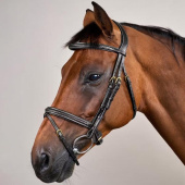 Hodelag Kombinert Nesereim Plaited Dyon Collection Svart Hodelag Kombinert Nesereim Plaited Dyon Collection Svart
