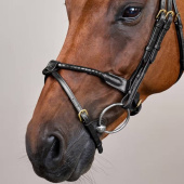 Hodelag Kombinert Nesereim Braided Dyon Collection Svart Hodelag Kombinert Nesereim Braided Dyon Collection Svart