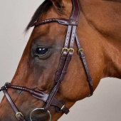 Hodelag Kombinert Nesereim Braided Dyon Collection Brun Hodelag Kombinert Nesereim Braided Dyon Collection Brun