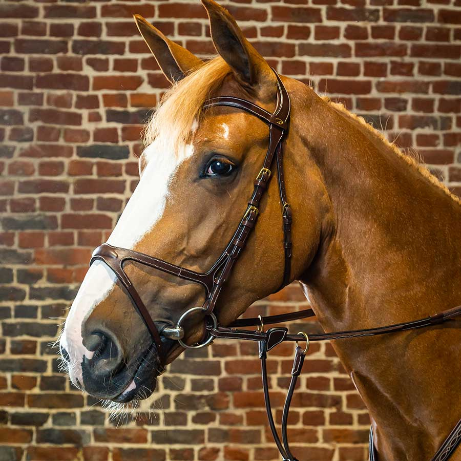 Hodelag X-Fit Anatomisk DC Brun