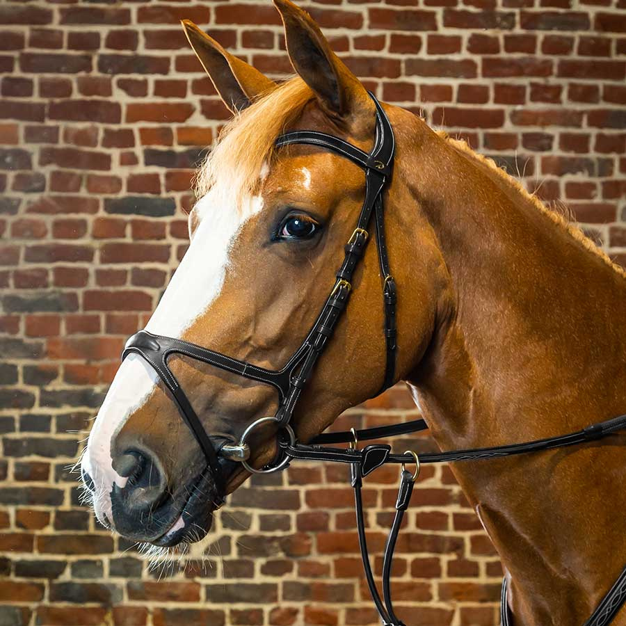 Hodelag X-Fit Anatomisk DC Svart