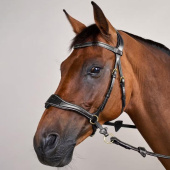 Hodelag D Motion Dyon Collection Svart Hodelag D Motion Dyon Collection Svart