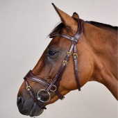 Hodelag D Motion Dyon Collection Brun Hodelag D Motion Dyon Collection Brun