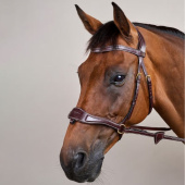 Hodelag D Motion Dyon Collection Brun Hodelag D Motion Dyon Collection Brun