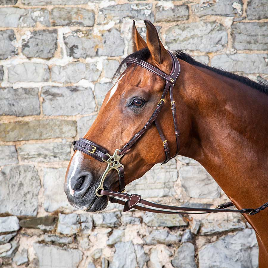 Hodelag Hackamore DC Brun