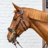 Hodelag Hackamore Dyon Collection Brun Hodelag Hackamore Dyon Collection Brun