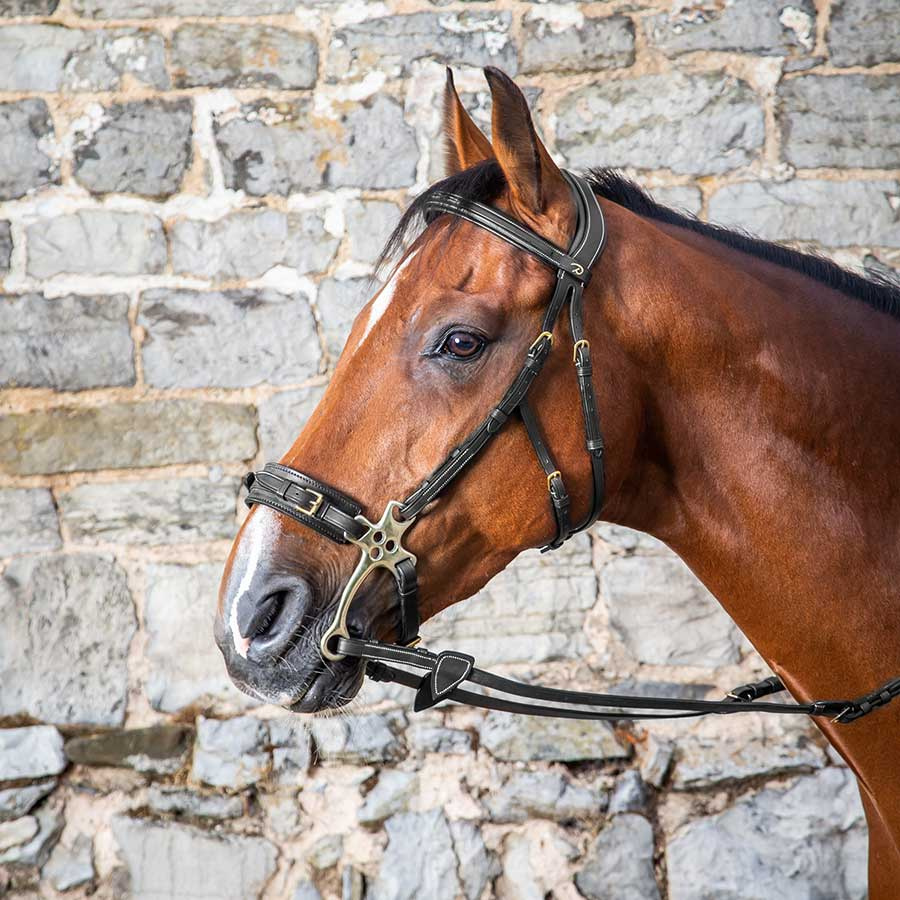 Hodelag Hackamore DC Svart