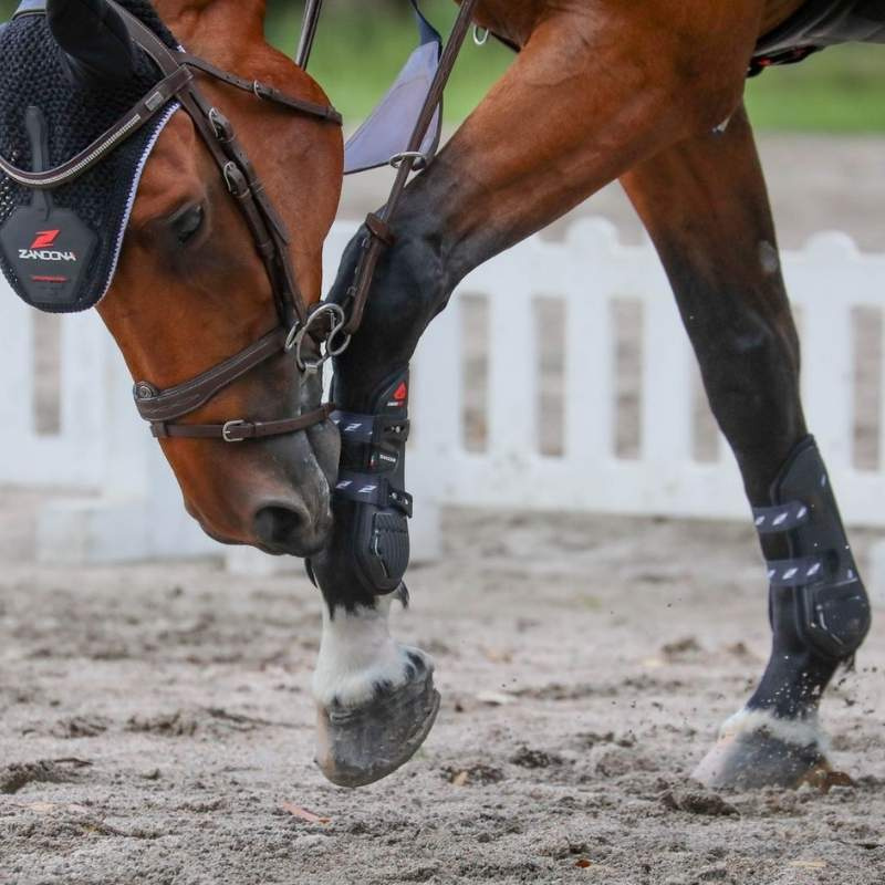 Senebeskyttere Carbon Pro Svart